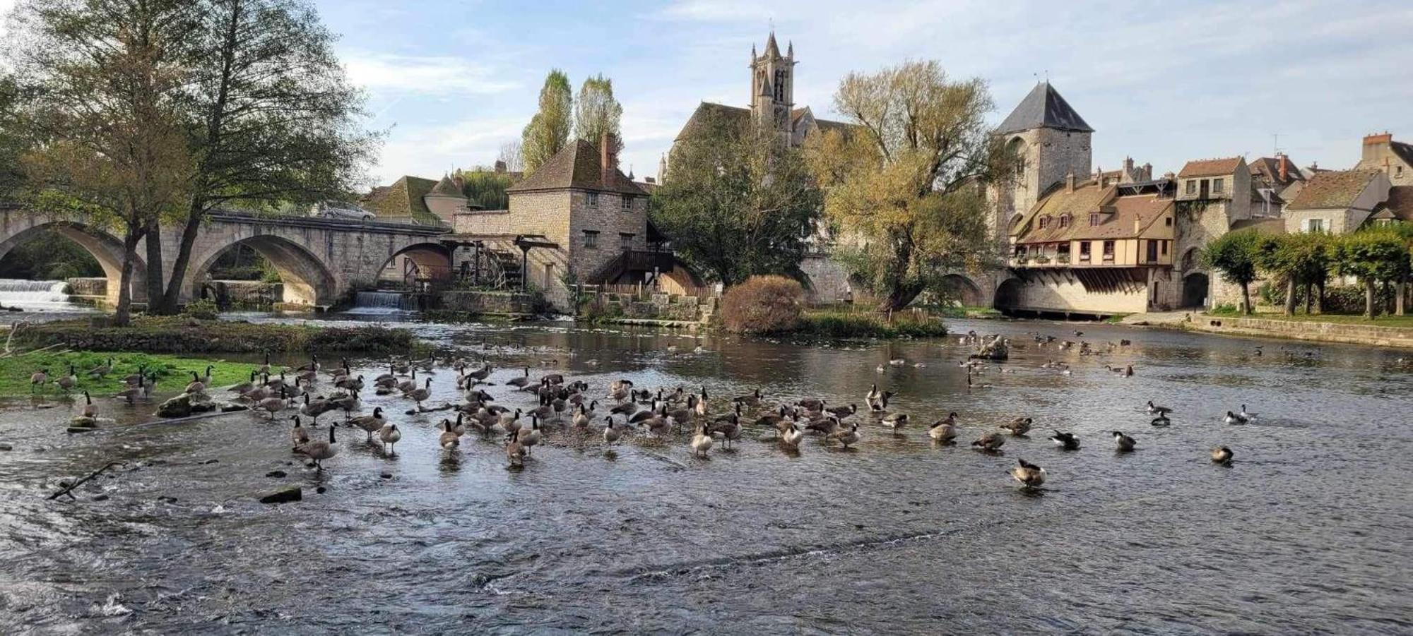 Detente A Sorques Montigny-sur-Loing Exteriér fotografie